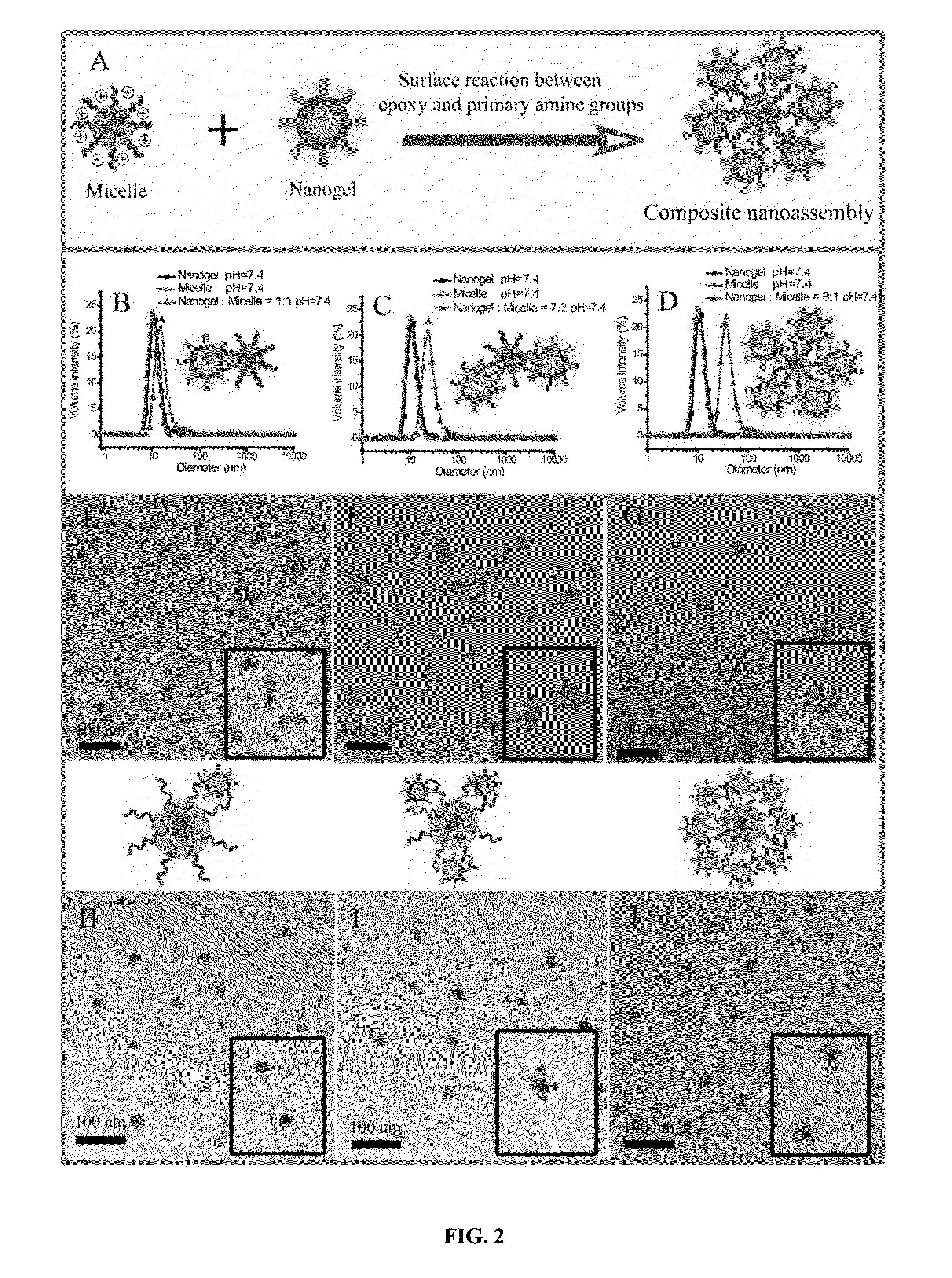 Polymer-polymer composite nanoassemblies and applications thereof