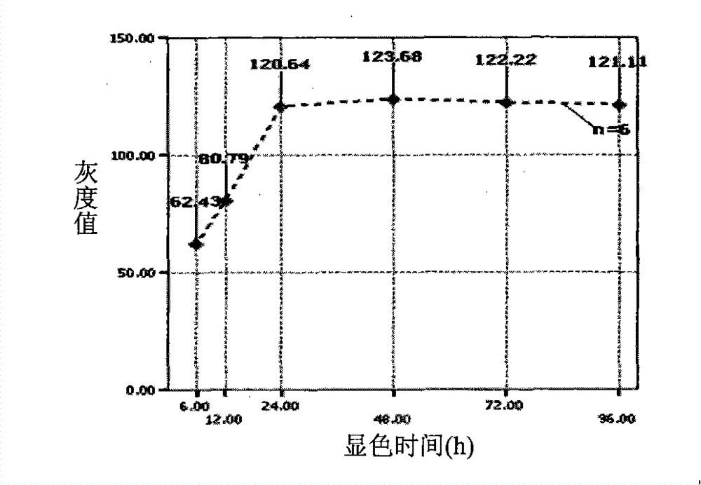 Visible protein chip for detecting poultry disease serum antibody, its preparation method and application