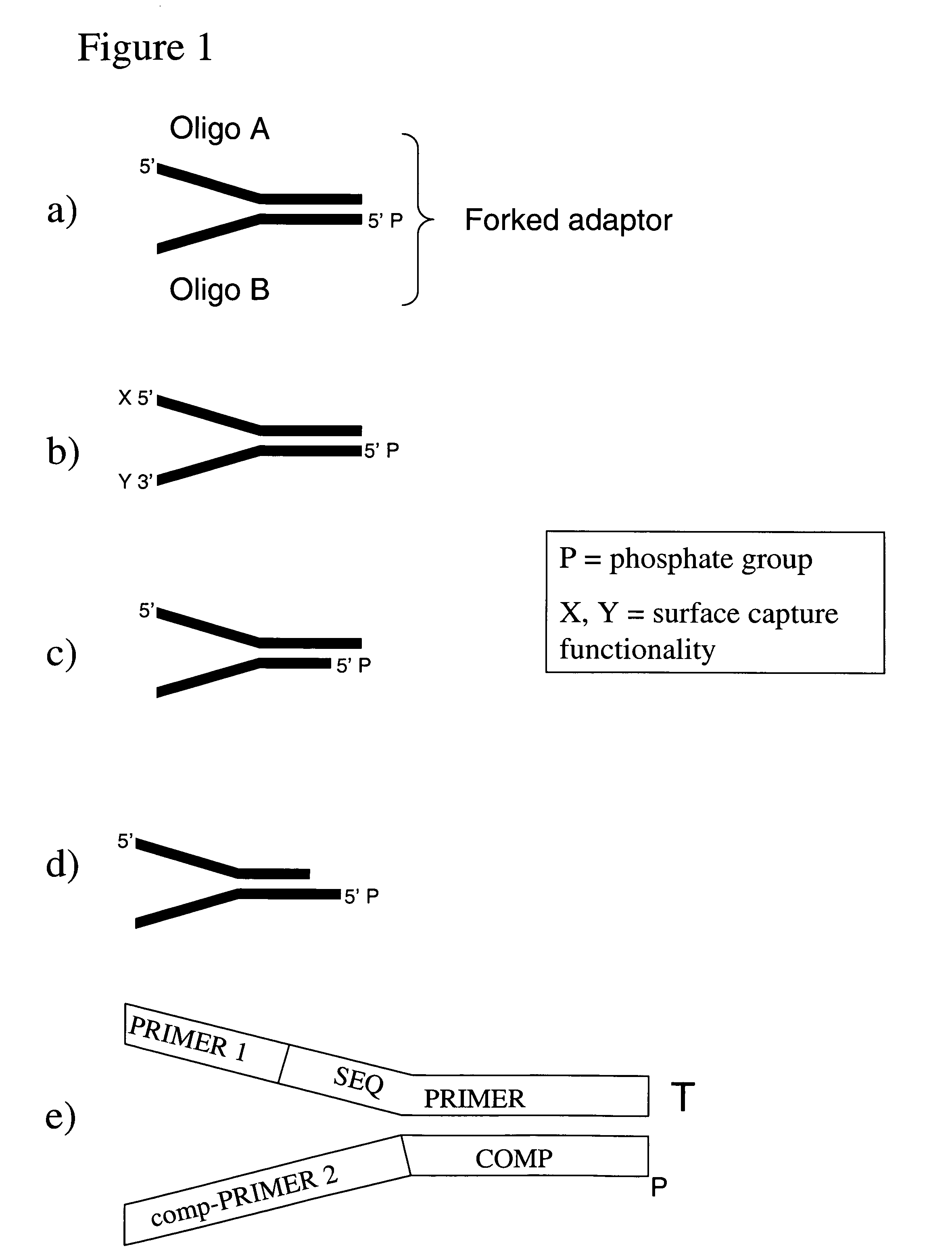 Method of preparing libraries of template polynucleotides
