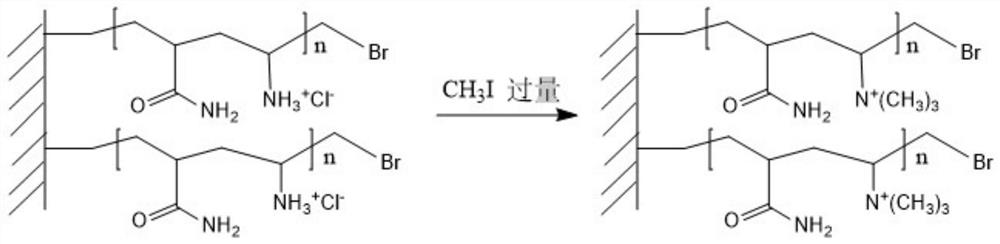 A kind of quaternized polymer brush antibacterial material based on si-atrp method and preparation method thereof