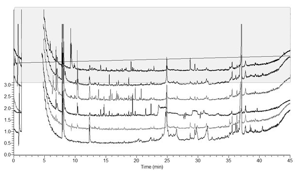 Process for preparing bupleurum chinense injection