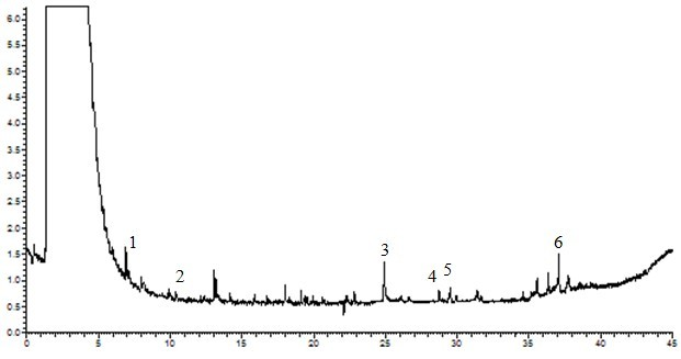 Process for preparing bupleurum chinense injection