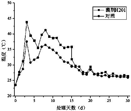 A strain of Aspergillus niger and its fermentation agent and its application