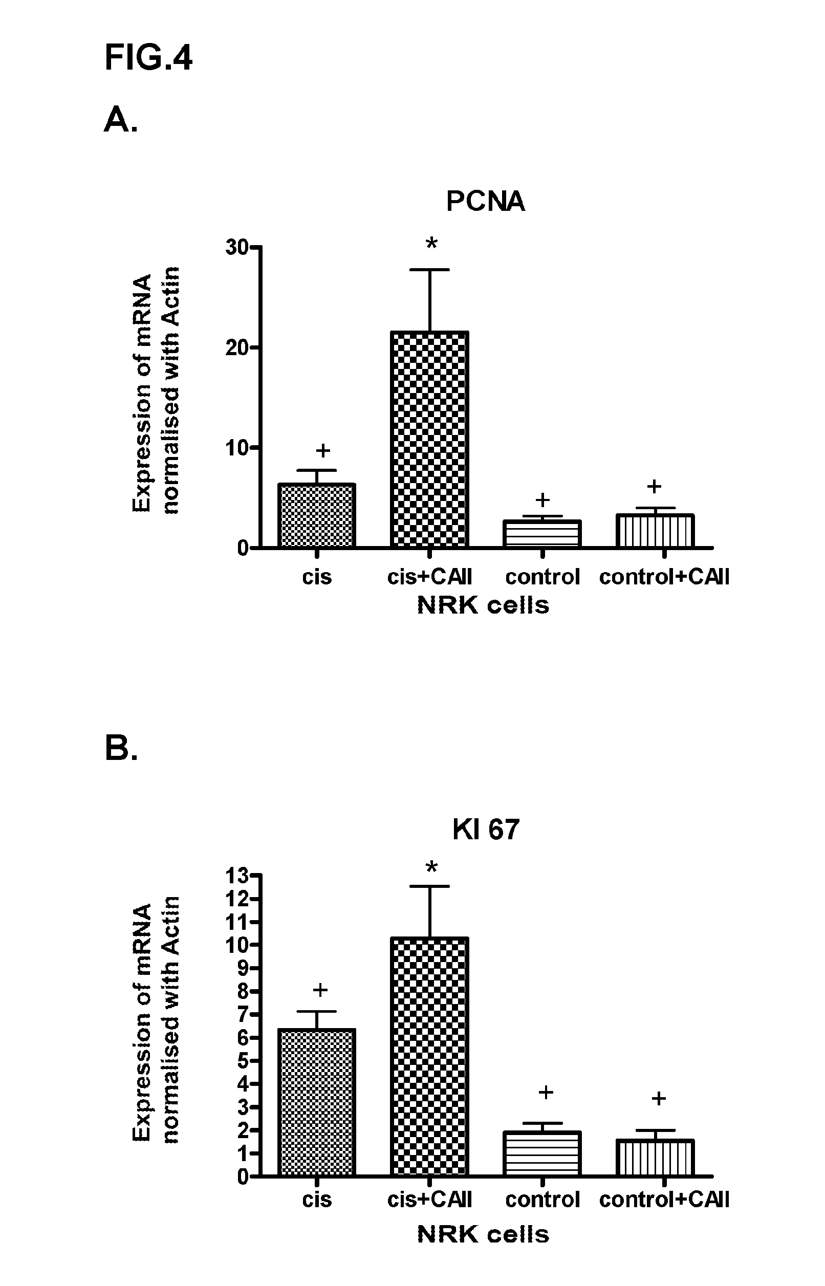 Use of carbonic anhydrase ii for producing a drug