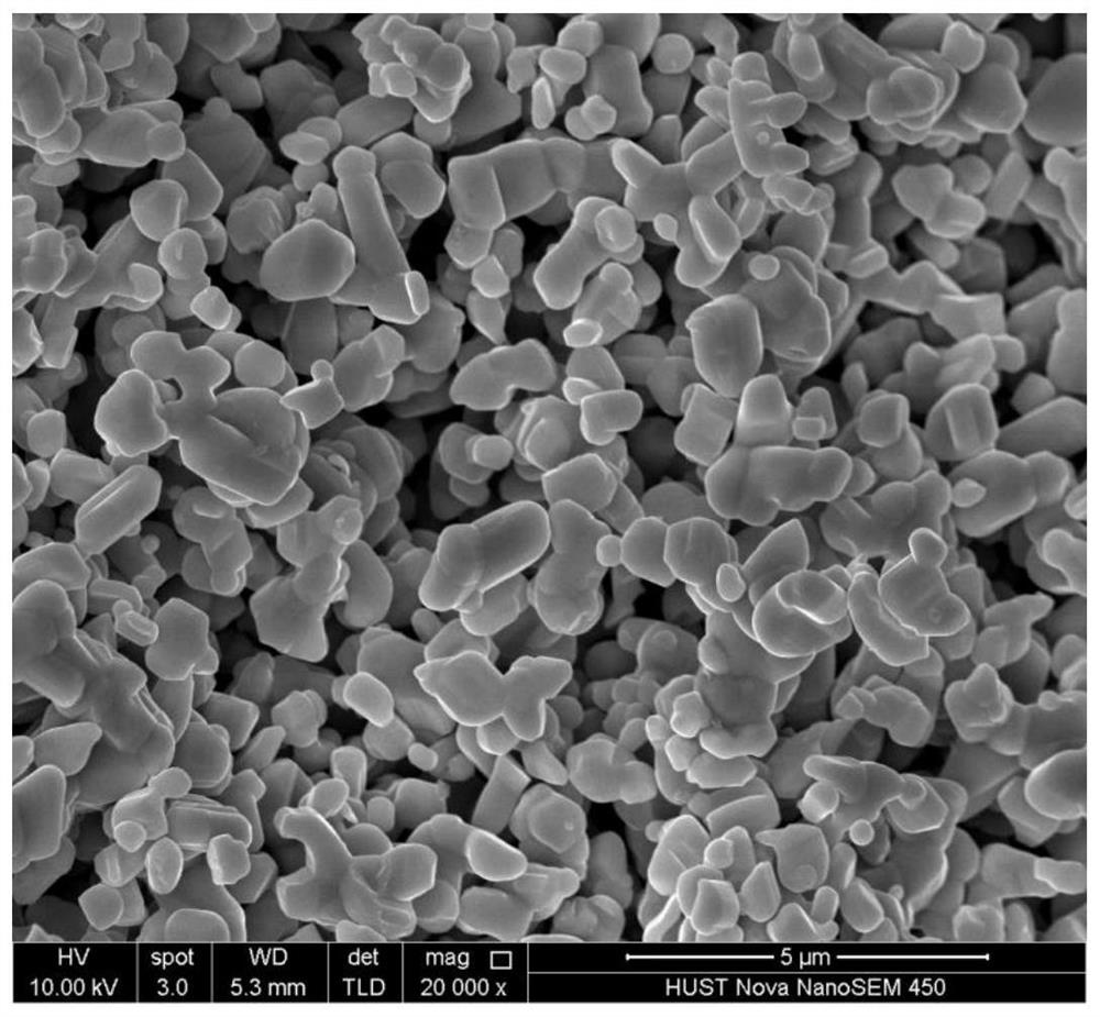 TiNb2O7 material with preferential growth of (010) crystal face and preparation method and application of TiNb2O7 material