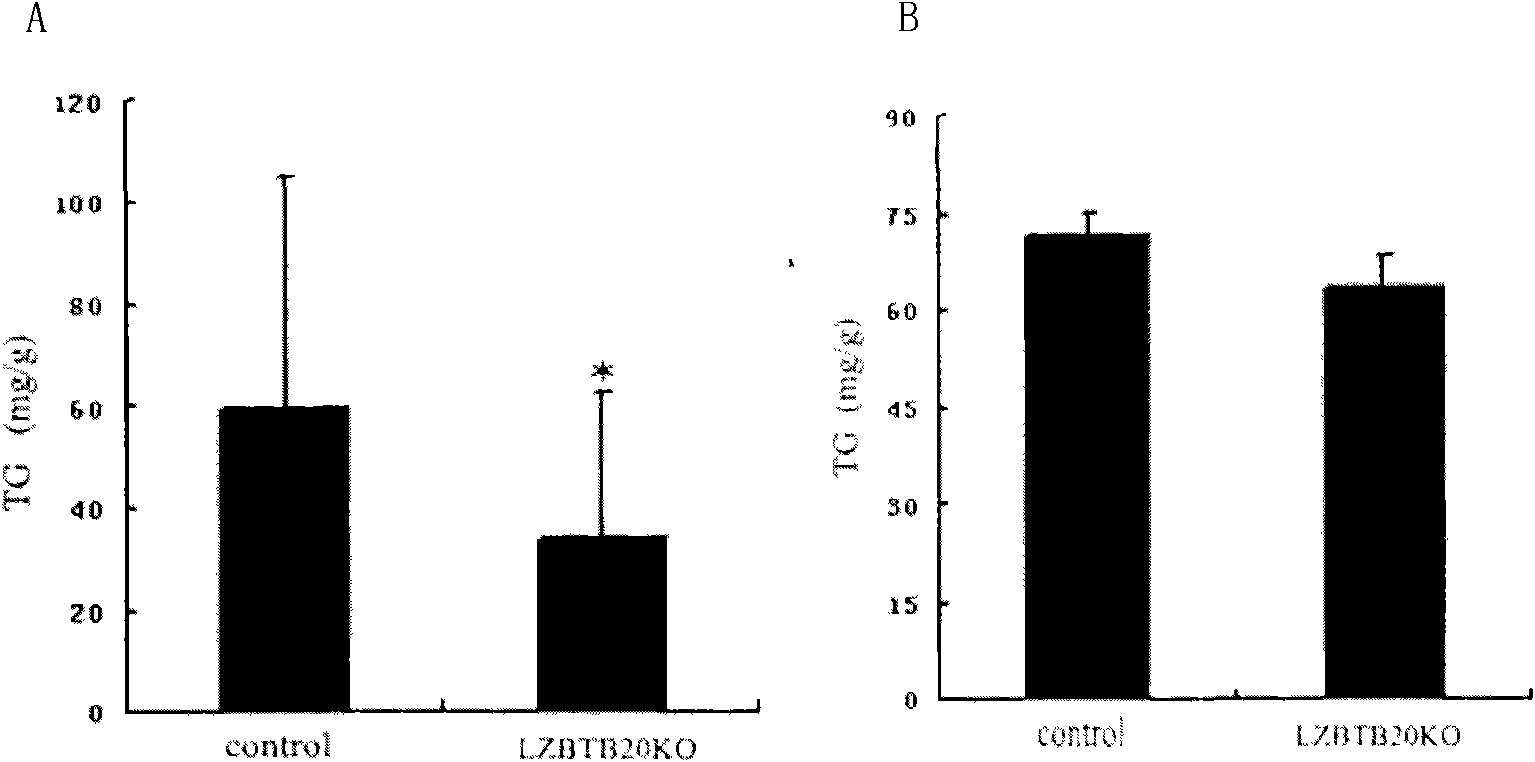 New method for inhibiting synthesis of liver fat and preventing and treating fatty liver