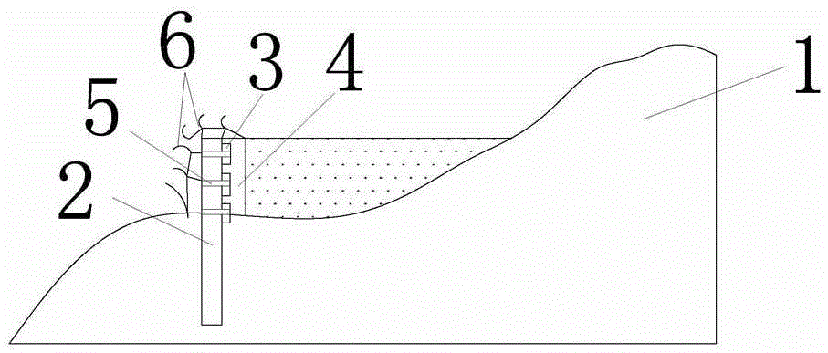 An ecological ridge structure