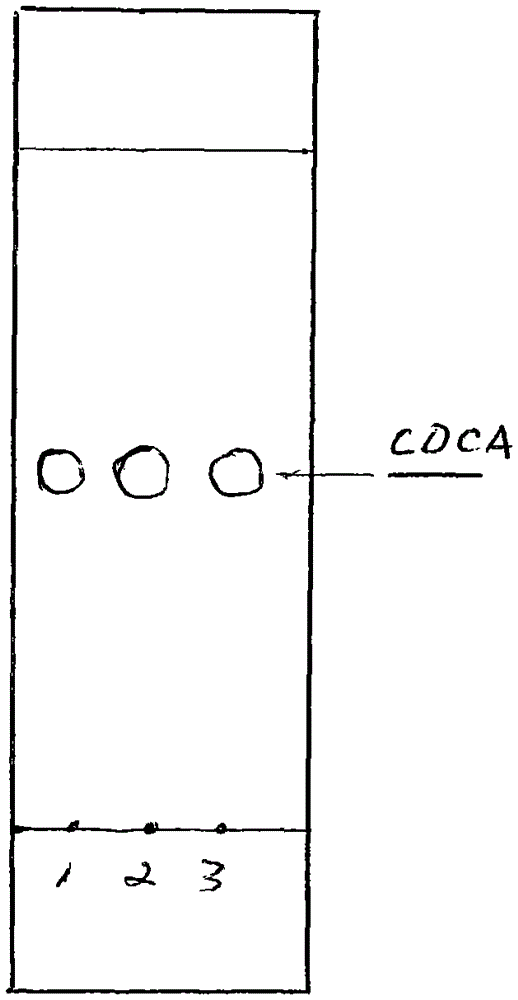 Preparation method of directly extracting and synthesizing chenodeoxycholic acid and ursodeoxycholic acid from pig gall paste or leftovers