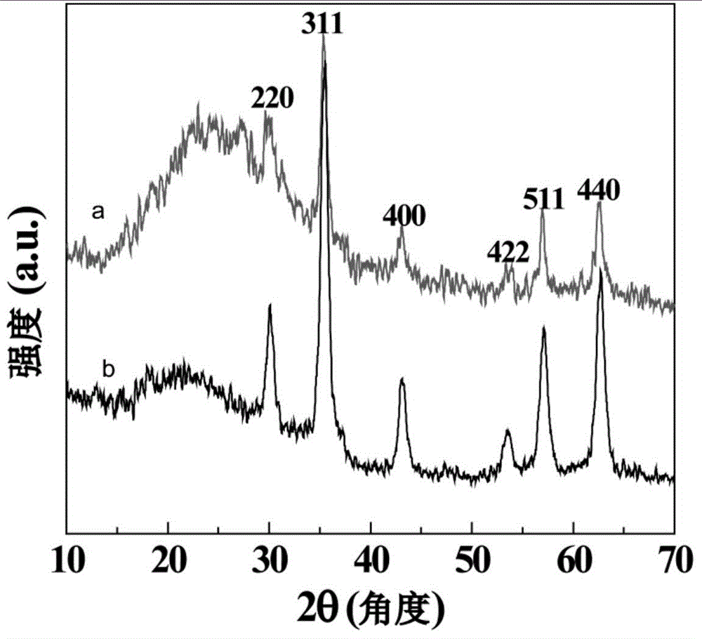 Preparation method of RGD-modified subminiature superparamagnetic iron oxide nanoparticles