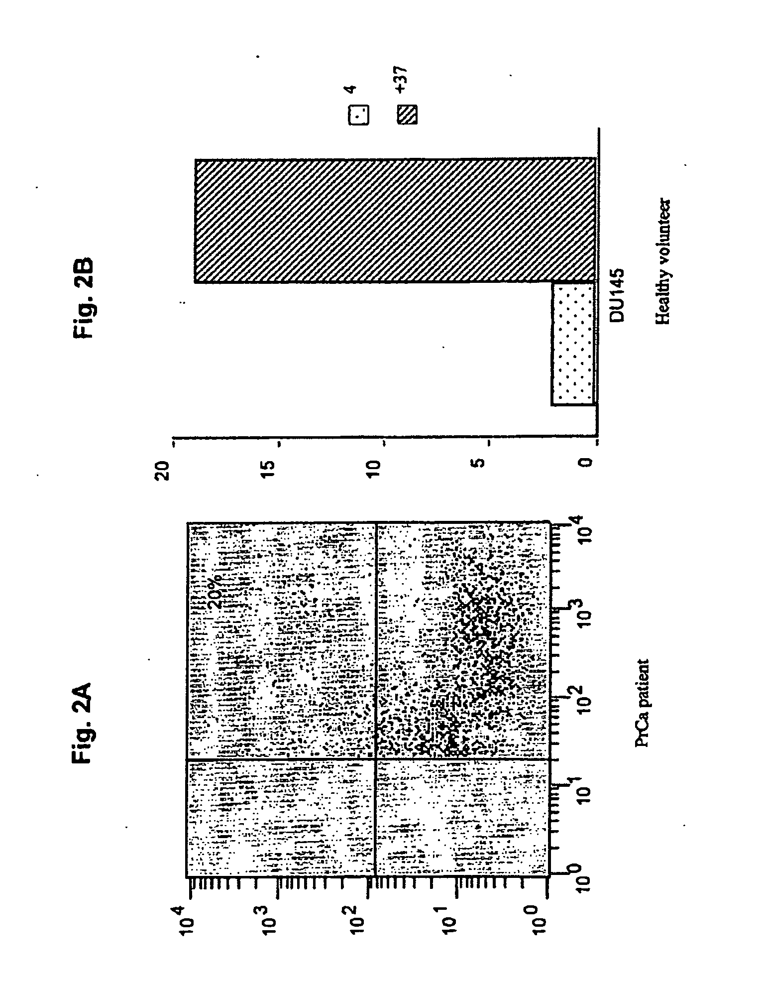 Use of allogeneic cell lines to load antigen-presenting cells to elicit or eliminate immune responses