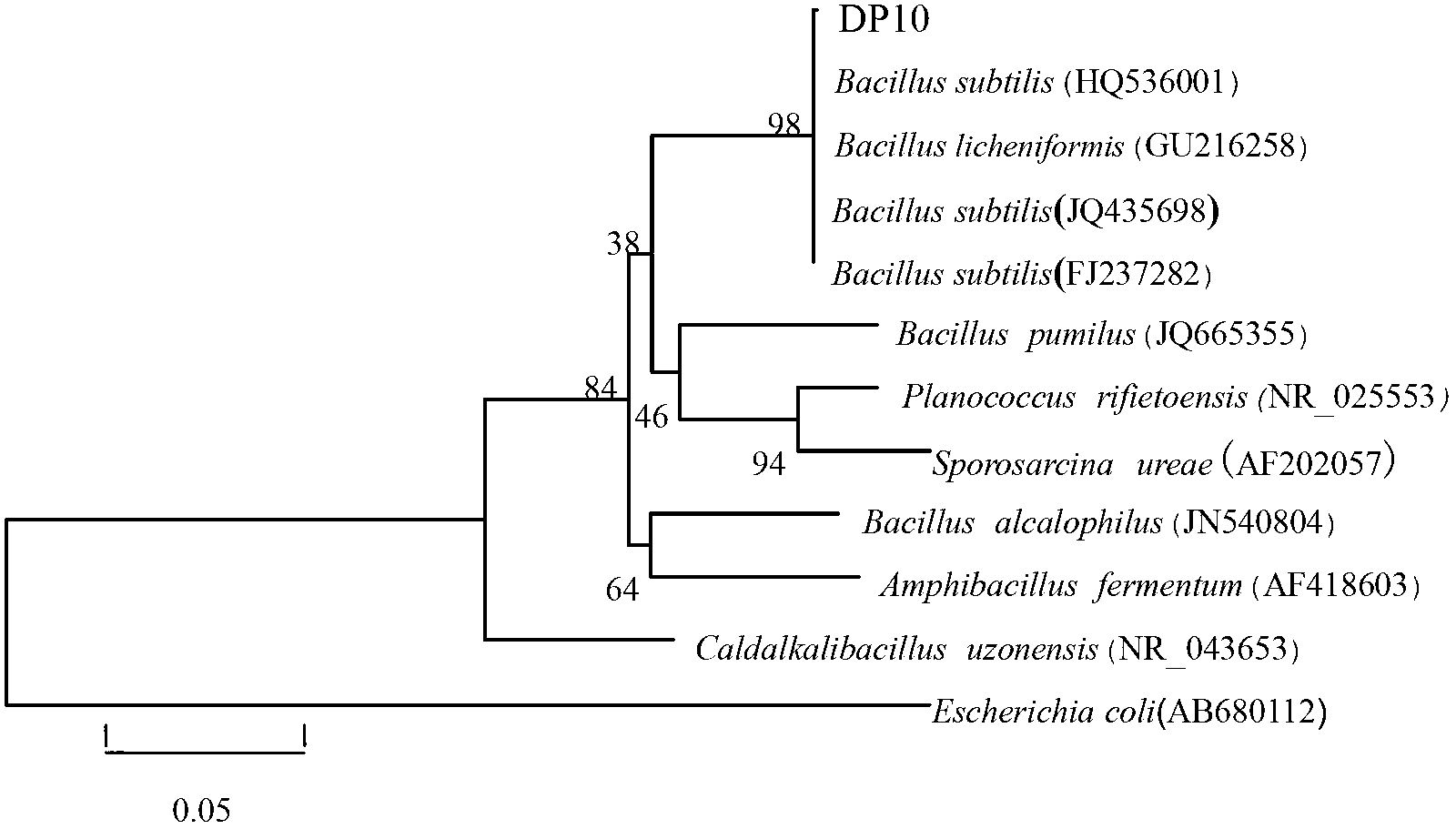 Method for obtaining endophytic bacteria for degrading verticillium dahlia toxin protein and application in preventing and treating plant verticillium wilt