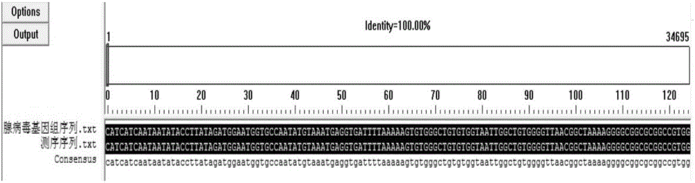 Adenovirus detection and sequencing primer combination and application