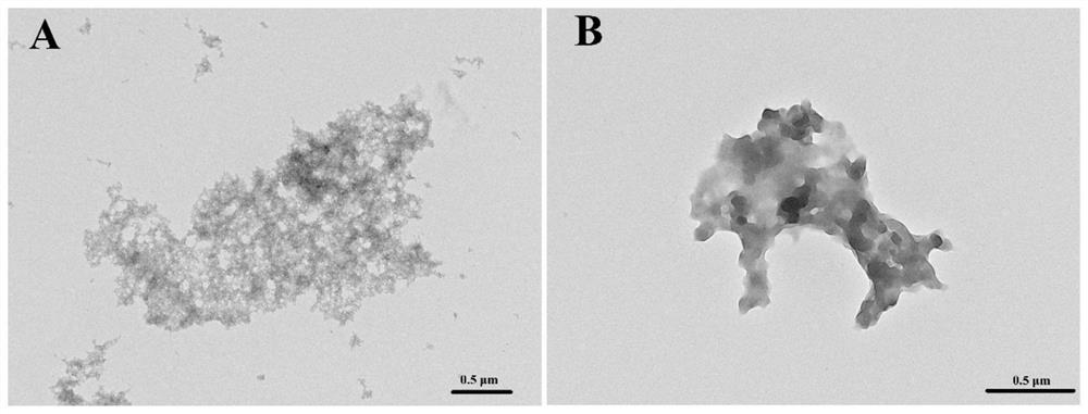 A kind of threonine dehydratase and its application