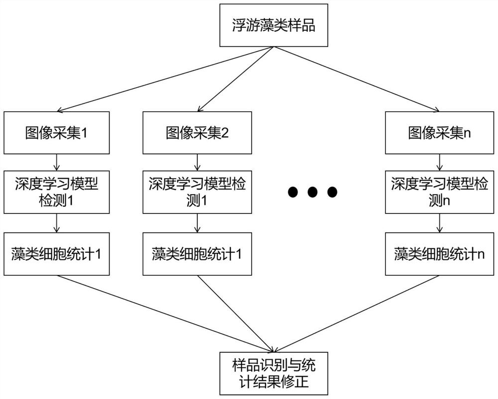 Cascade algae cell statistical method based on microscope image