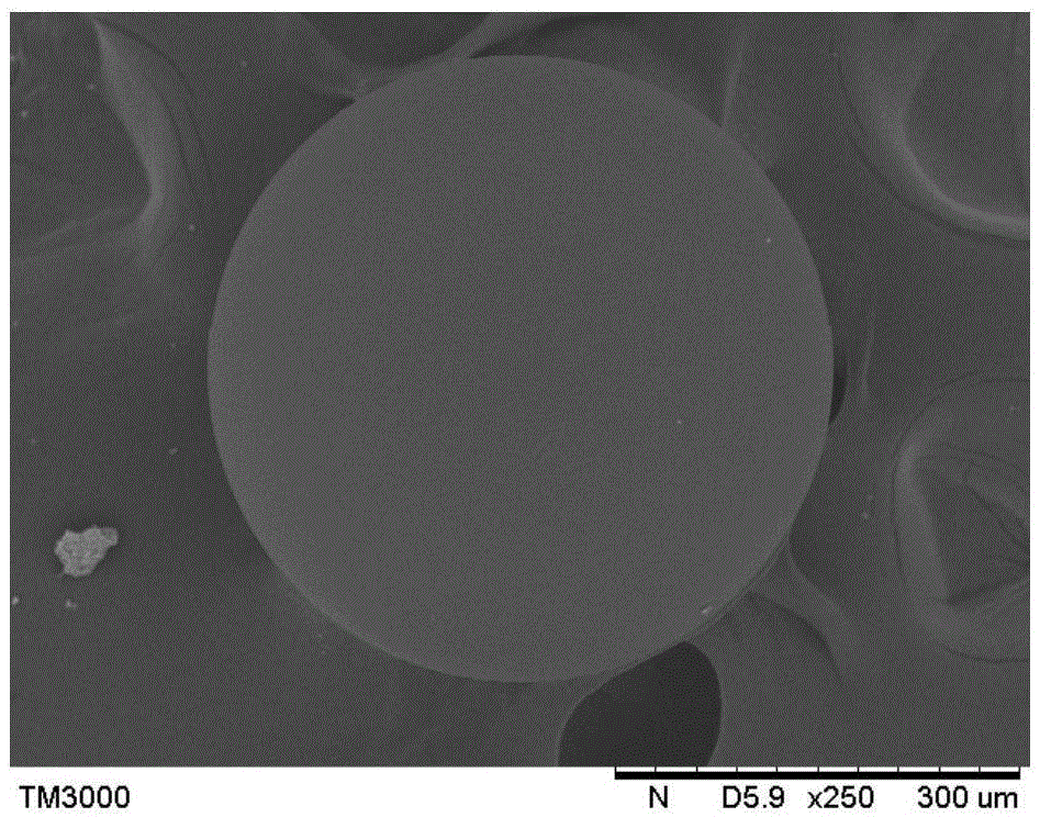 Method for adsorbing and separating xanthophyll by utilizing hyper-cross-linked resin