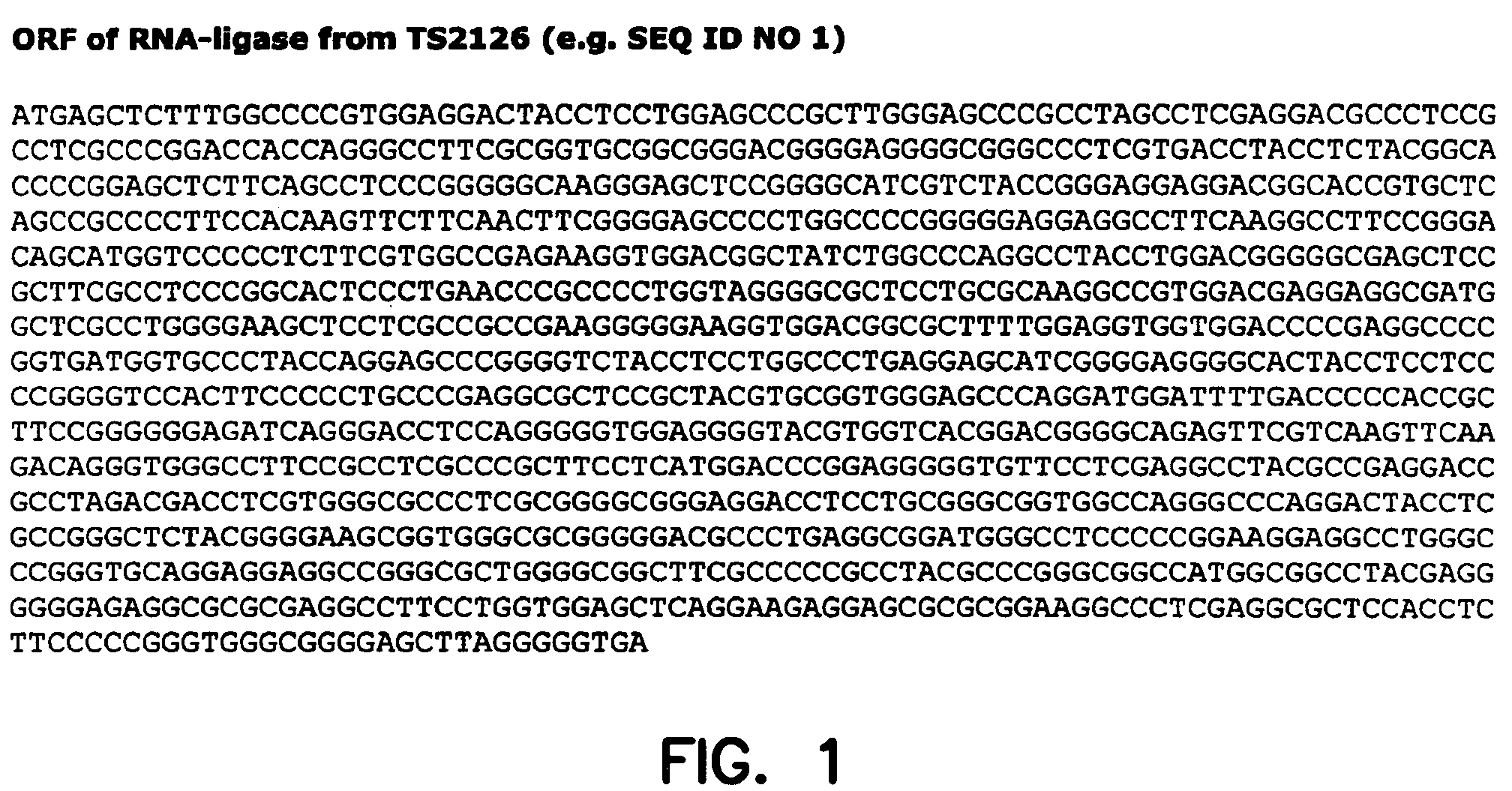 Thermostable RNA ligase from thermus phage