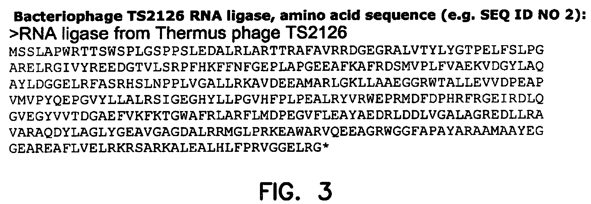 Thermostable RNA ligase from thermus phage