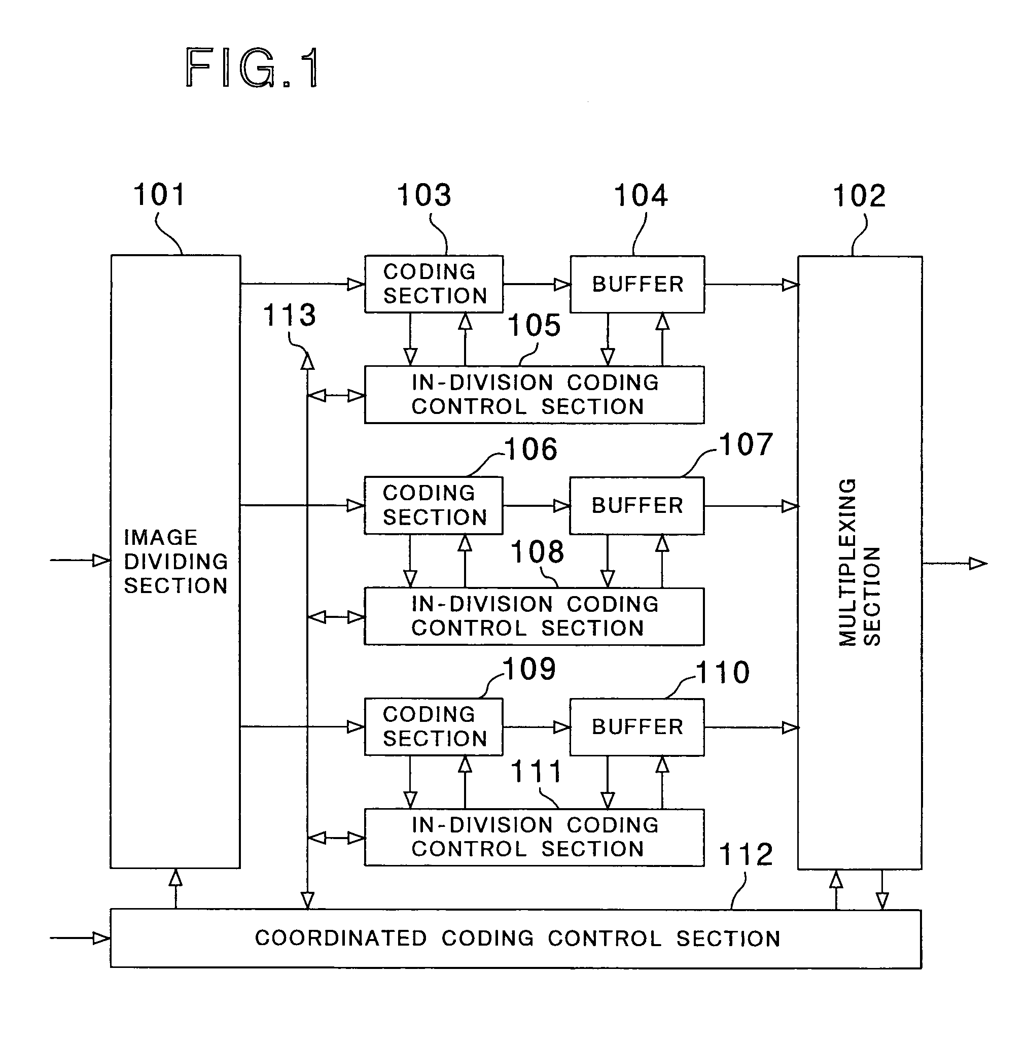 Video image coding apparatus with individual compression encoding sections for different image divisions