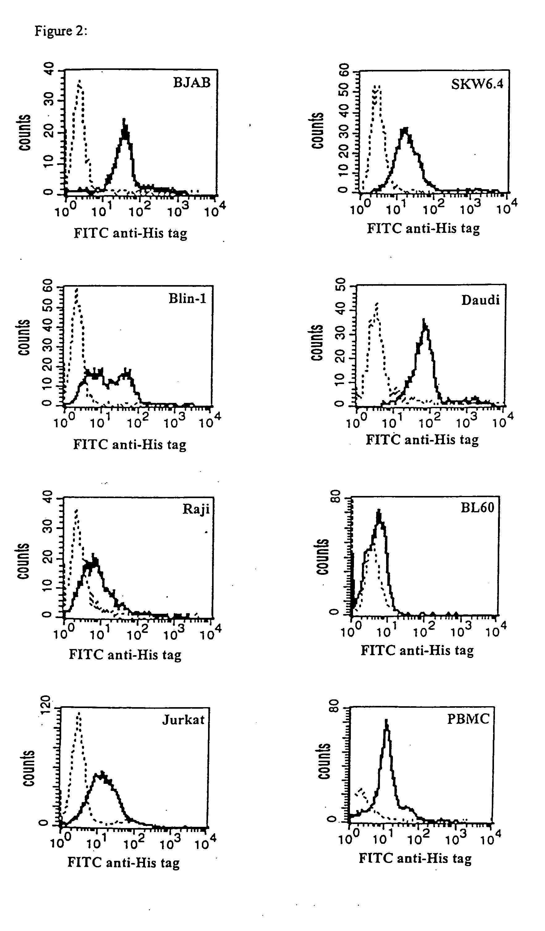 Novel CD19xCD3 specific polypeptides and uses thereof