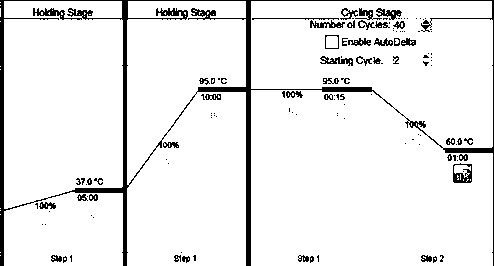 Renal cancer exosome marker group and application thereof