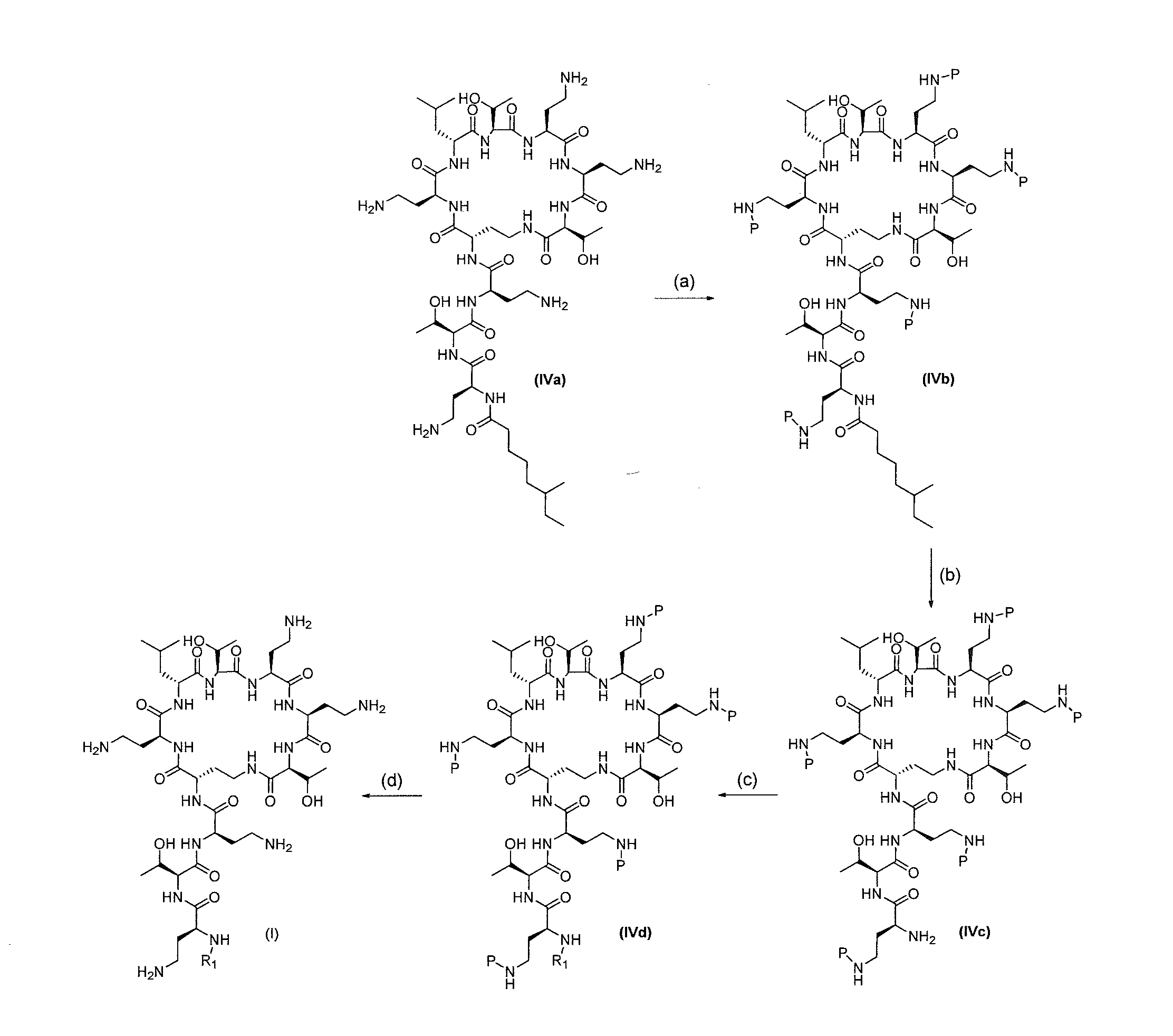 Antibiotic Compositions for the Treatment of Gram Negative Infections