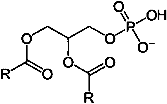Acyl-sn-glycerol-3-phosphate compound and application thereof