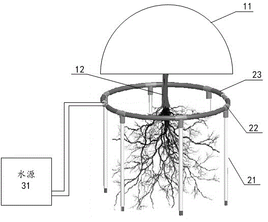 Tree irrigation method and system