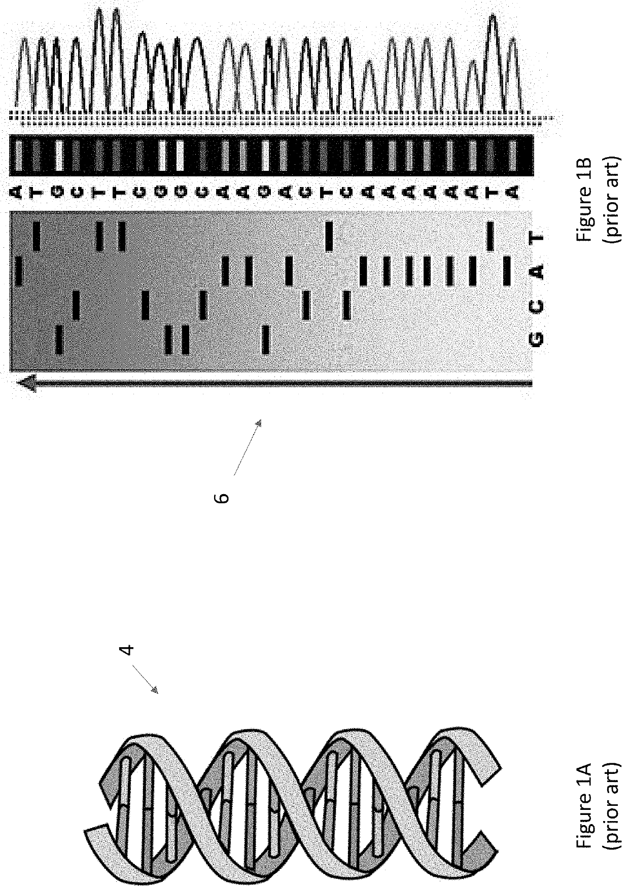 System and method for genetic based efficacy testing