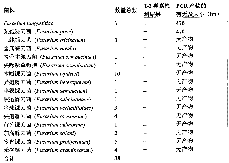 Molecular identification method of trichothecene type-A toxins of fusarium
