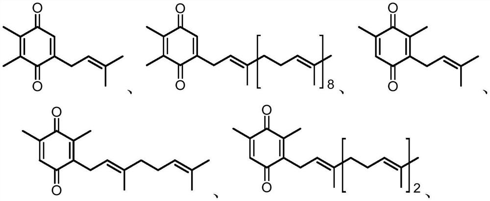 Preparation method of quinone compound
