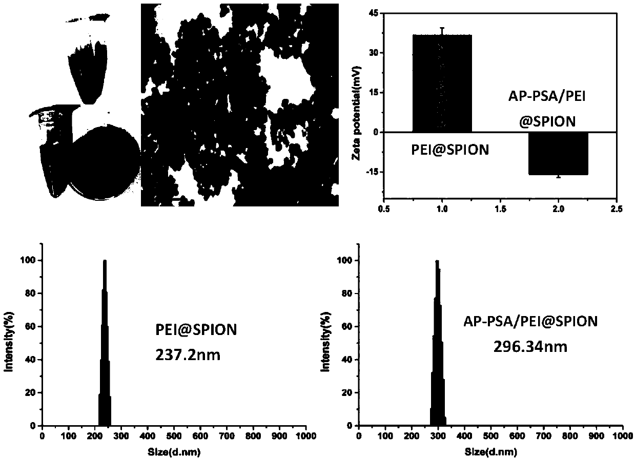 Targeted anti-tumor drug system for drug-resistant tumor cells and construction method thereof