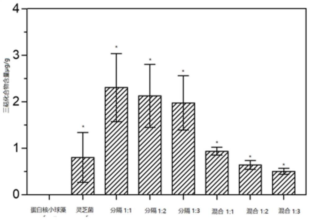 Photobioreactor for improving ganoderma lucidum triterpenoids and construction method of phycomycete symbiotic system