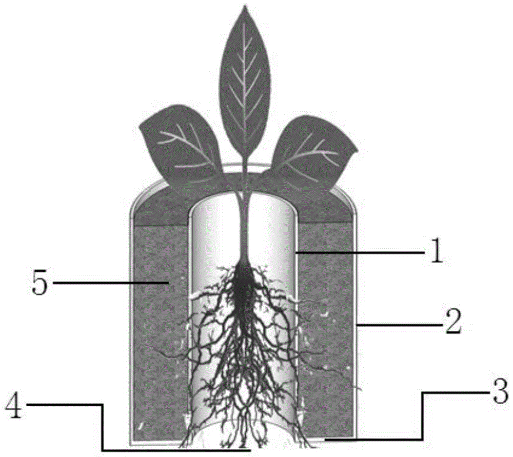 Padding used for stabilizing roots of plants in desertification regions and use method thereof