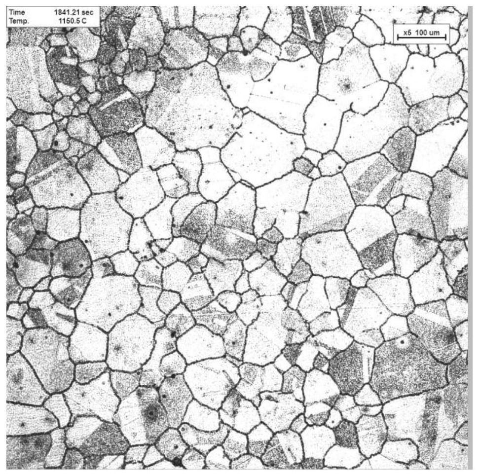 method-for-displaying-twin-free-structure-grain-size-after-solid