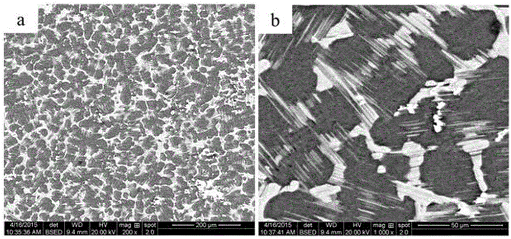 Quasicrystal phase reinforced LPSO structured Mg-Zn-Y magnesium alloy and preparation method thereof