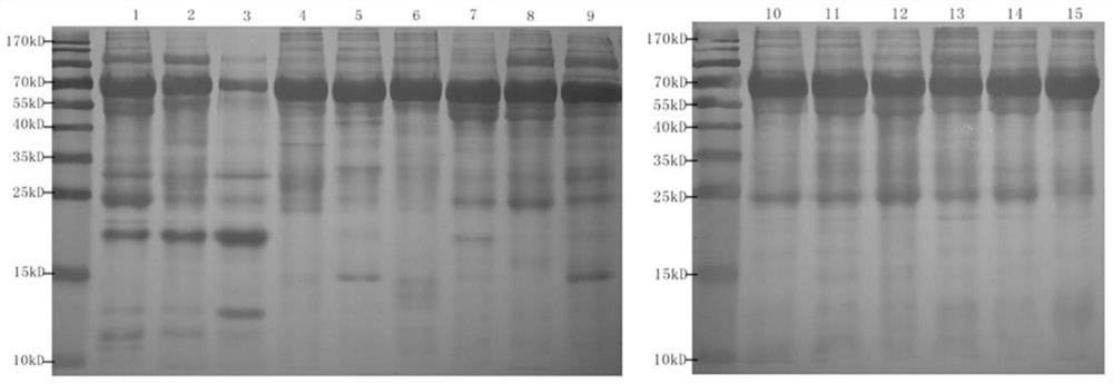 Urinary Protein Markers of Renal Injury in Malignant Hypertension and Its Diagnostic Application