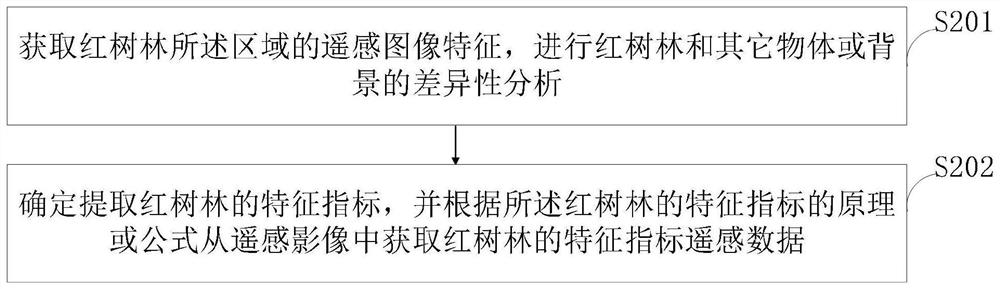 Mangrove forest ecological quantitative inversion method based on remote sensing technology