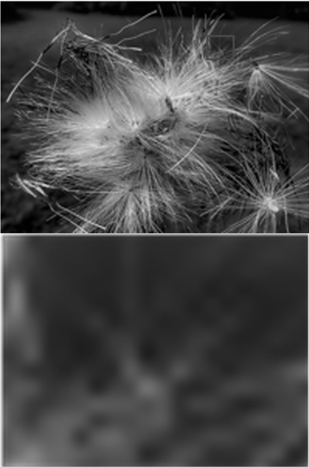 Binocular image super-resolution reconstruction method based on multi-scale feature fusion