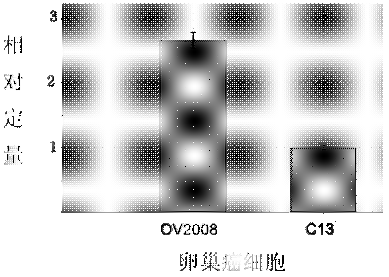 Kit used for evaluating ovarian cancer primary chemotherapeutic sensitivity, and application thereof