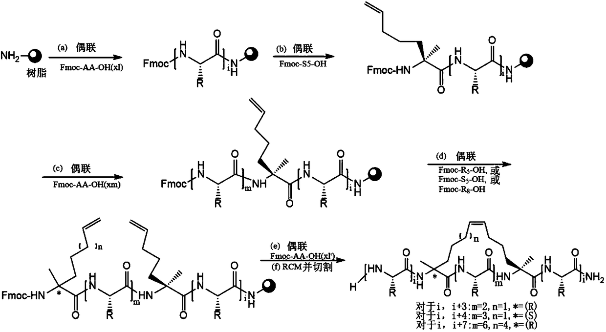 Polypeptide or its derivatives and application thereof in preparation of tumor drugs