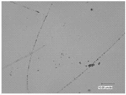 Method for preparing TiO2 coating on surface of iron-based amorphous ribbon through sol-gel method