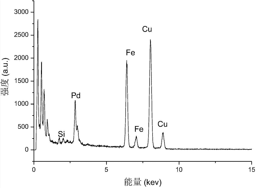 Biosynthesis method of magnetic Pd nanocomposite material