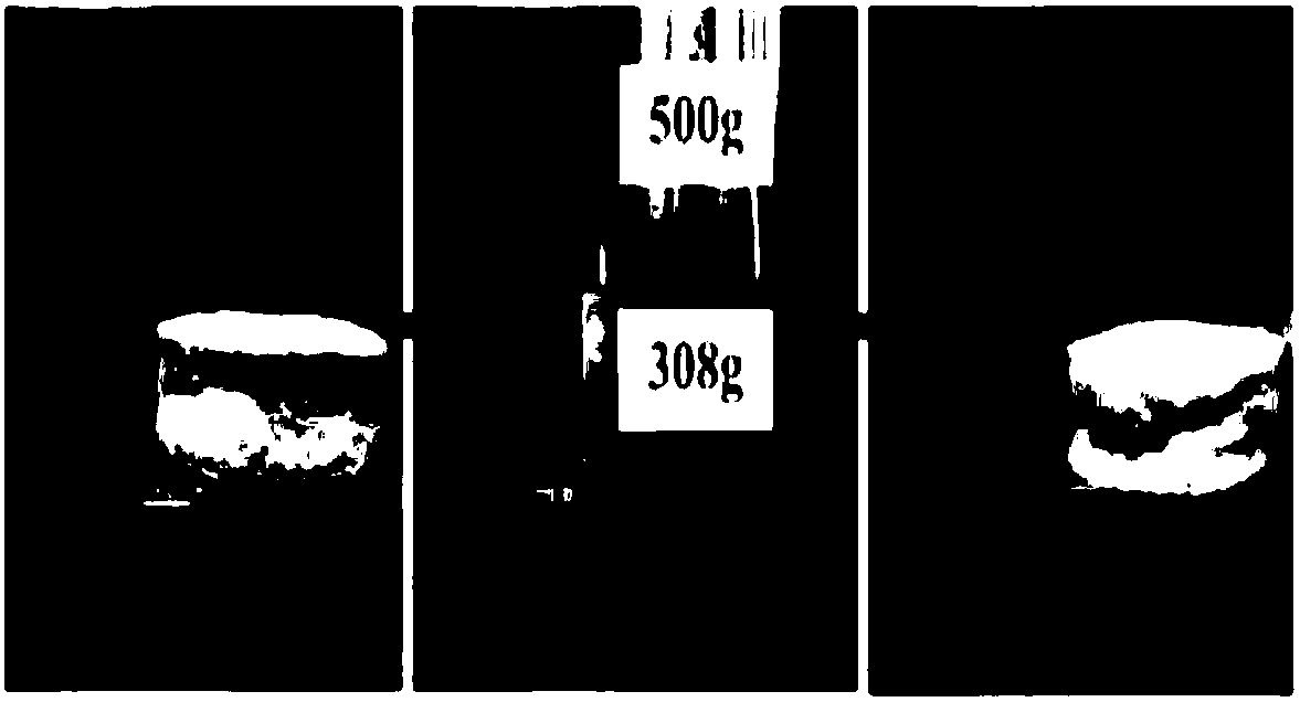 Preparation method of oil adsorption material with hierarchical porous structure