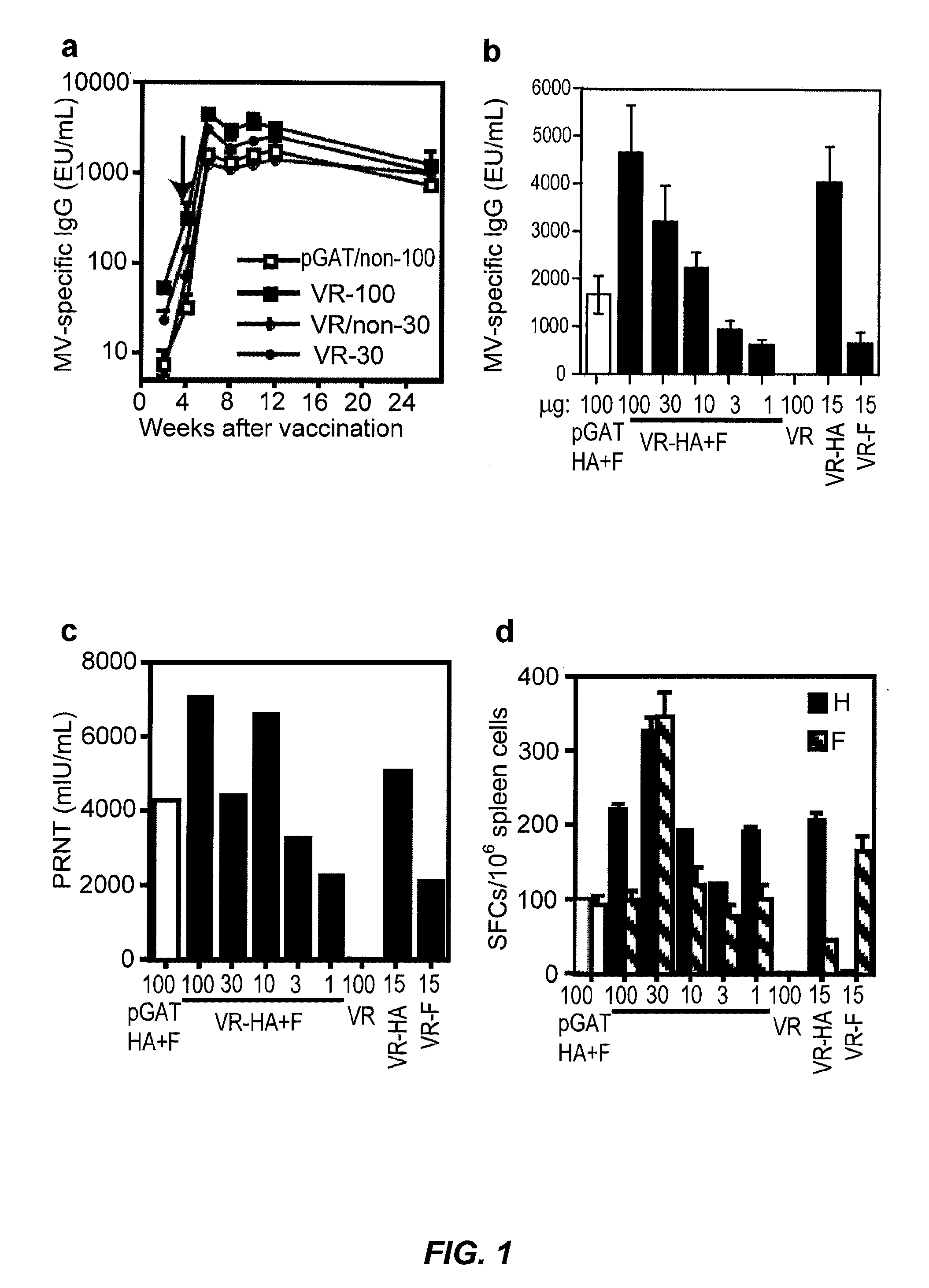 Methods of treating measles infectious disease in mammals