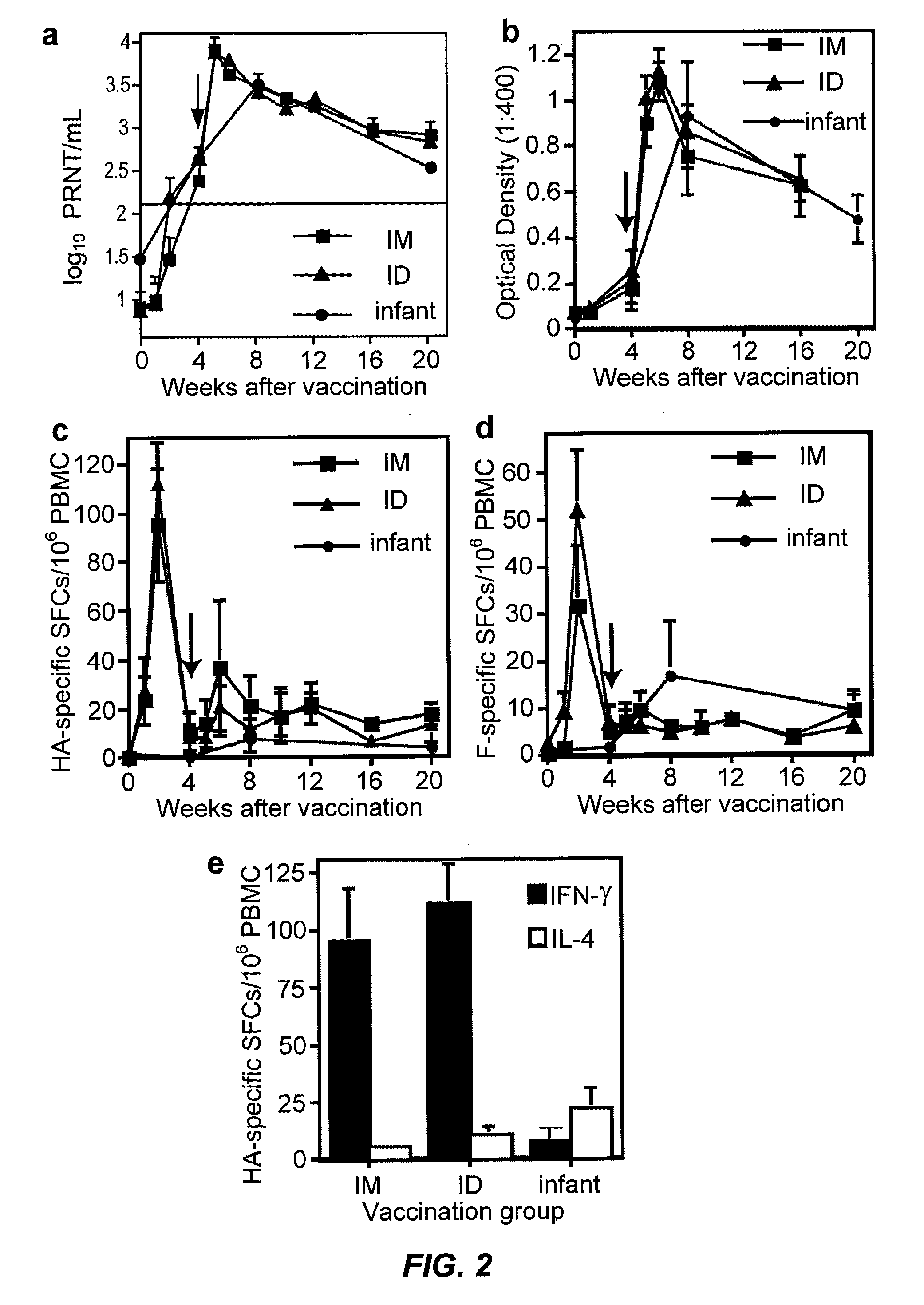 Methods of treating measles infectious disease in mammals