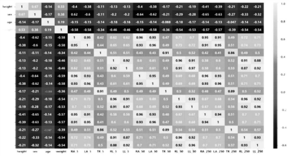 Human body composition and visceral fat content prediction method