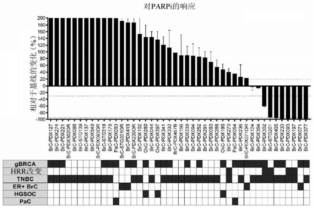 Methods based on the detection of rad51 foci in tumor cells