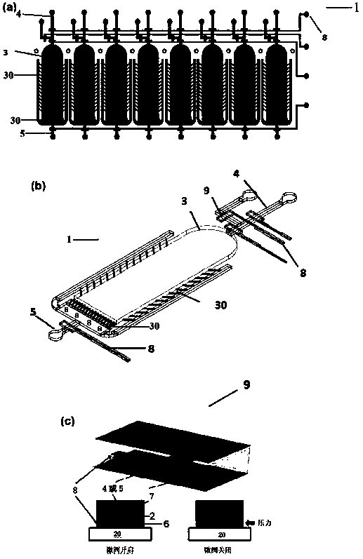 Micro-fluidic chip and device for elegans cultivation and/or observation and application of micro-fluidic chip and device