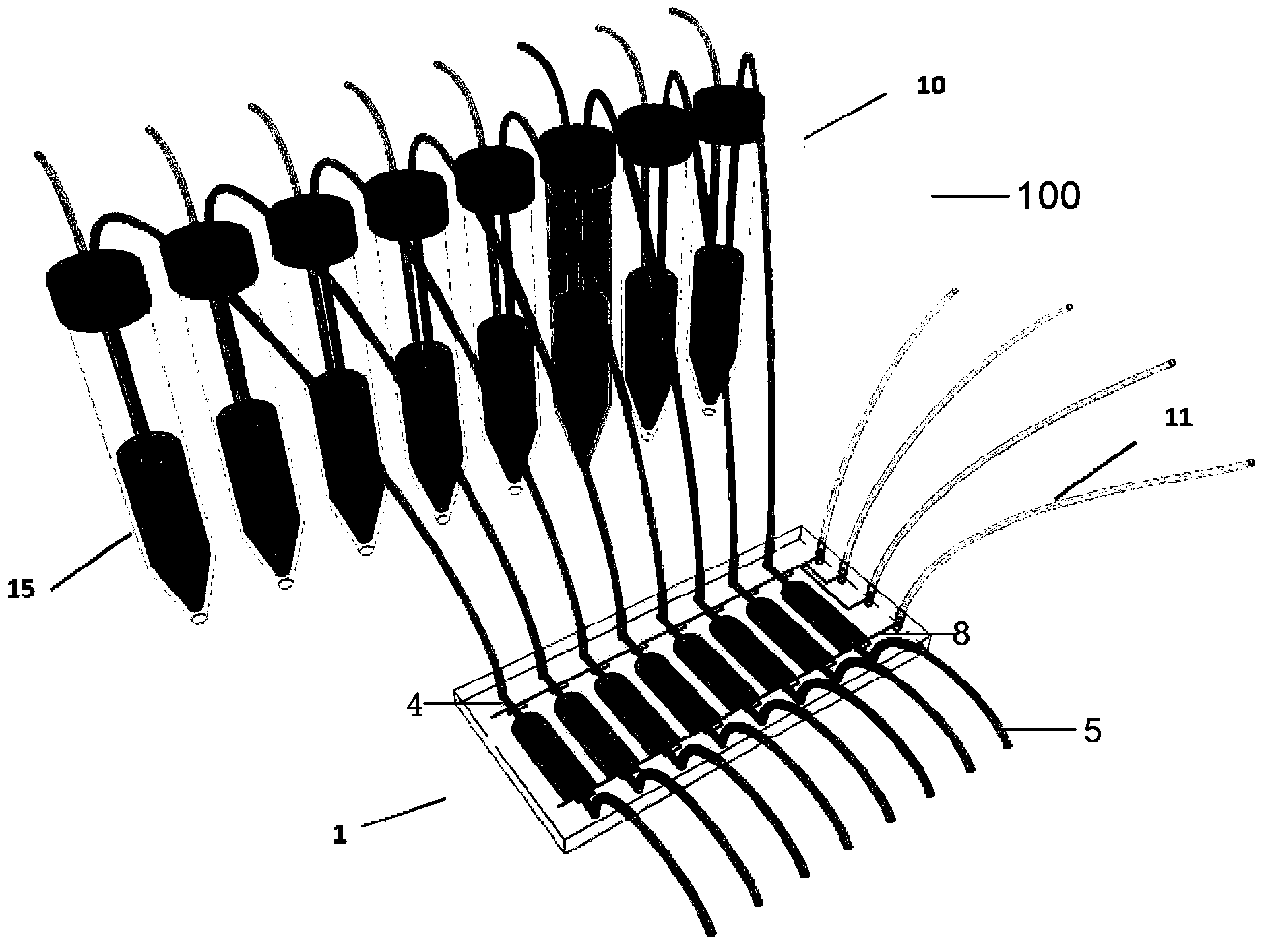 Micro-fluidic chip and device for elegans cultivation and/or observation and application of micro-fluidic chip and device