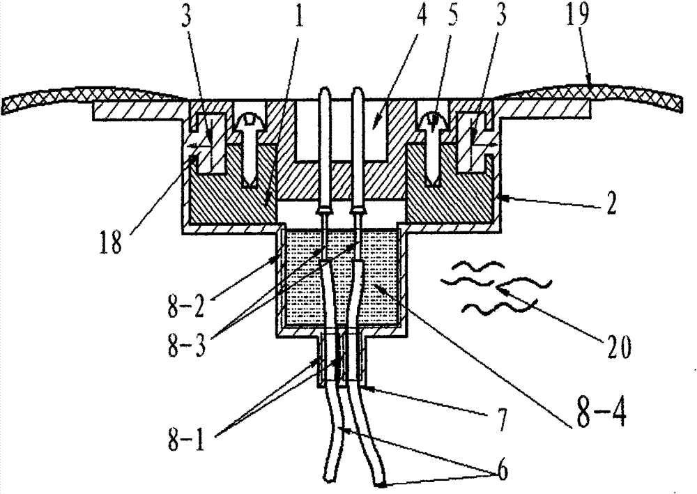 Electrical socket of electric heating bag